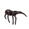Latex Spider