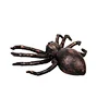 Halloween Spider